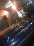 ��������, ������������ �����. ����