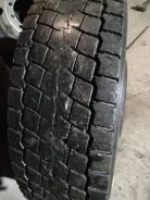 TyRex. �����������, 2017 ���, �/�, ����� 20 % ����
