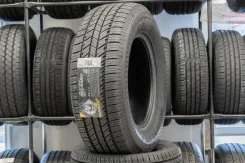 Blacklion BC86 Voracio H/T. ������, 2019 ���, ����� ����