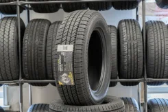 Blacklion BC86 Voracio H/T. ������, 2019 ���, ����� ����