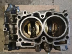 ���� ��������� EJ255 11008AA950 ����