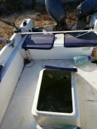 Yamaha Fish 17. 1988 ���, ����� 5��., ��������� ���������, 50��.�., ������ ����