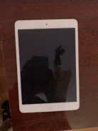 Apple iPad Mini 2 ����