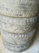 Dunlop SP Winter Ice 01. ������, �/�, ����� 100�%