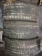 Continental Contact. ������, 2009 ���, �/�, ����� 50�%
