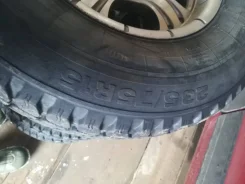 Breyton. x15" ����