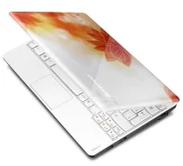 Lenovo IdeaPad S100. 10.1", 1,7����, ��� 2048 ��, ���� 250���, WiFi, Bluetooth ����