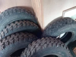��� �-151. ����� at, �/�, ����� 5 % ����