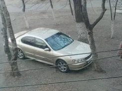 Nissan Cefiro. �������, ��������, 2.5 (210��.�.), ������, 200 000����. �� ����