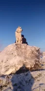 �����. ����