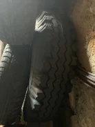 ���� NF-101. �����������, 2018 ���, �����