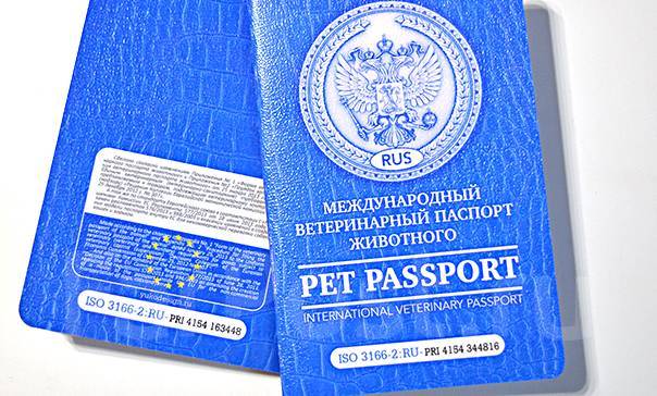Как должен выглядеть паспорт собаки