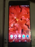 Sony Xperia XA. �/�, �����, Dual-SIM ����