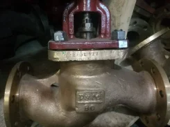 ���������. ����