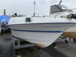 Yamaha SRV-20. 1997 ���, ����� 6,1��., ��������� ���������, 60��.�., ������. ��� ����� �� ������������ ����