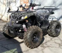 Grizzly 125. ��������, ��, ��� ������� ����
