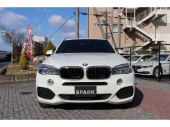 BMW X5. �������, 4wd, 3.0 (289��.�.), ������, 20 300����. ��, �/�. ��� ����� �� ������������ ����