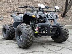 Grizzly 125. ��������, ��, ��� ������� ����