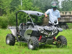 Arctic Cat. ��������, ��� ���\���, ��� �������. ��� ����� �� ������������ ����