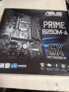 B250 ����