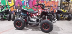 Bot Renegade 125. ��������, ��� ���\���, ��� �������. ��� ����� �� ������������ ����