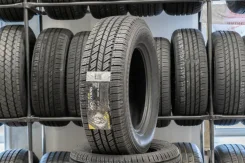 Blacklion BC86 Voracio H/T. ������, 2019 ���, ����� ����