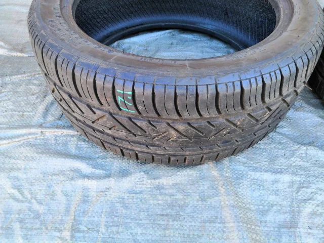 Pirelli Dragon. ������, �/�, ����� 5 % ����