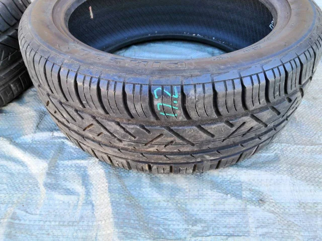 Pirelli Dragon. ������, �/�, ����� 5 % ����