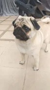 ����. ����