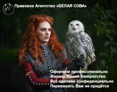 Банкротство бизнеса в Москве Банкротство бизнеса