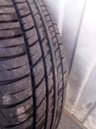 Lassa Atracta. ������, 2014 ���, �/�, ����� 5 % ����