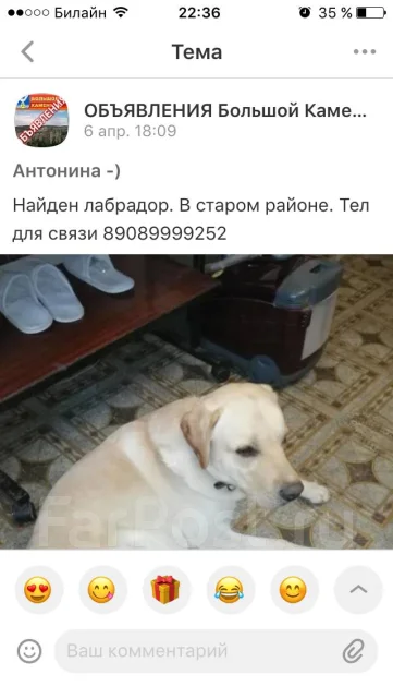 ��������� ����