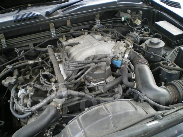Nissan Terrano. �������, 4wd, 3.3, ������, �/�, ��� ���. ��� ����� �� ������������ ����