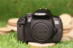Canon EOS 650D. 15 - 19.9 �� ����
