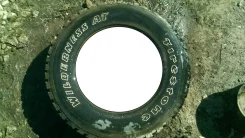 Firestone Wilderness AT. �����������, �/�, ����� 5 % ����
