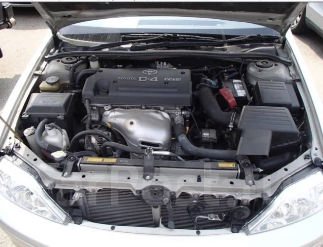 Toyota Vista Ardeo. AZV50, 1AZFSE ����