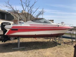 Nissan Seabreeze. 1995 ���, ����� 7��., ��������� ���������, 135��.�., ������ ����