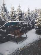 Ель.