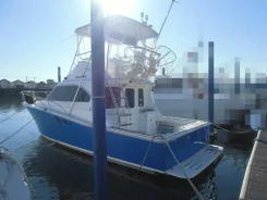 Luhrs. 1996 ���, ����� 11��., ��������� ������������, ������. ��� ����� �� ������������ ����
