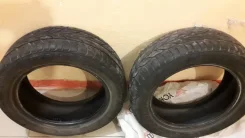 Annaite 100. ������, 2017 ���, �/�, ����� 20�%
