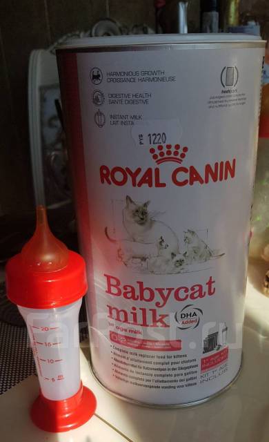 Royal canin best sale babycat milk