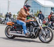 Harley-Davidson V-Rod Muscle VRSCF. 1 247 куб. см., исправен, с пробегом. Под заказ