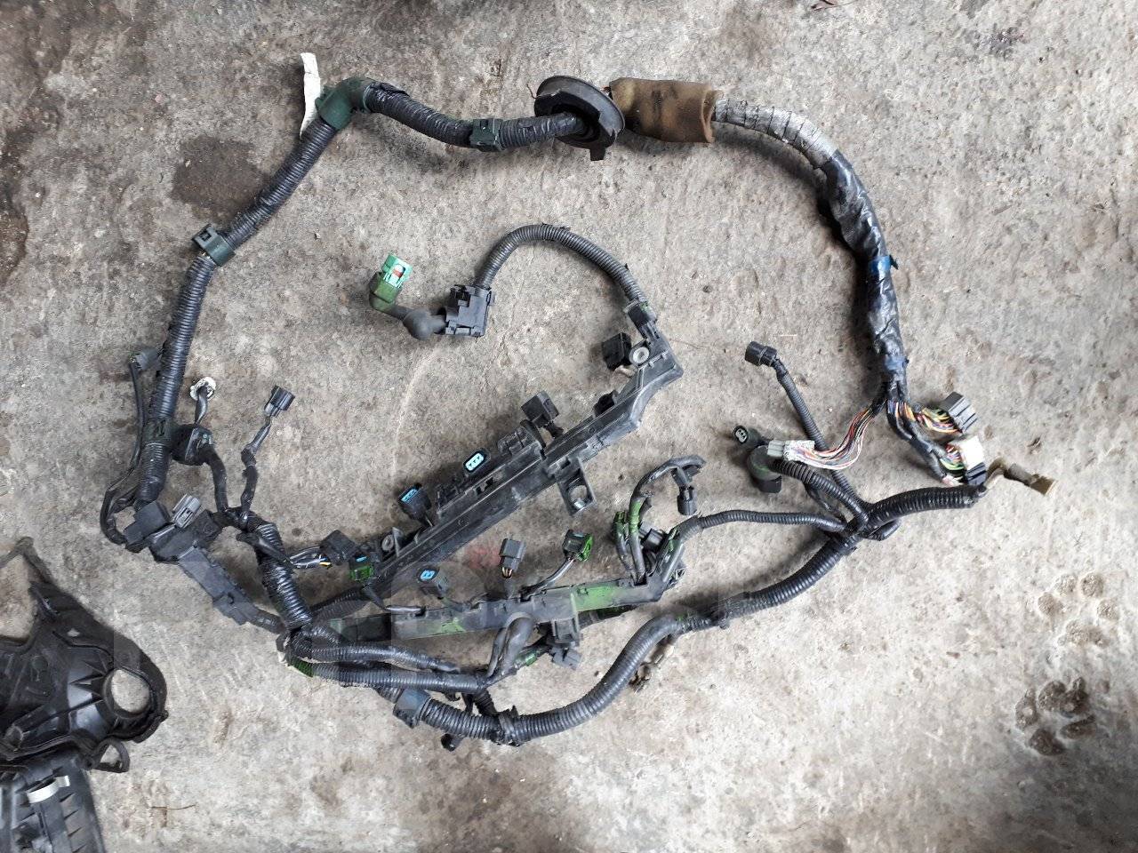 проводка daf 1785413. электропроводка двигателя. электропроводка двигателя. двигатель ом651 на мерседес w212. Doosan 300 de08 проводка двигателя.