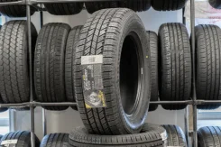 Blacklion BC86 Voracio H/T. ������, 2019 ���, ����� ����