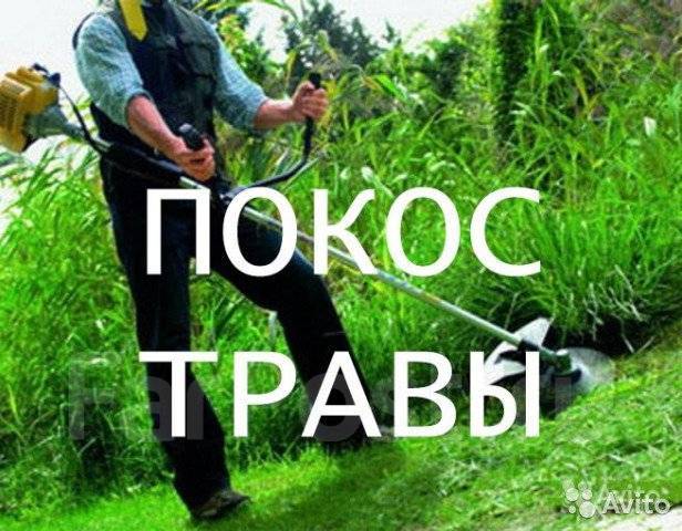 Покос травы во Владивостоке