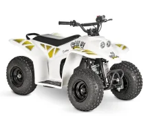 Baltmotors Barboss Mini. ��������, ��� ���\���, ��� ������� ����