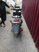Irbis Nirvana. 150����. ��., ��������, ��� ���, � �������� ����