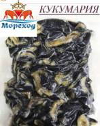 Кукумария. Отправляем по России. Авиа, реф., ЖД. во Владивостоке Кукумария.