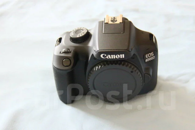 Canon EOS 4000D. 15 - 19.9 ��, ���: 3� ����