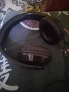 Sven ����